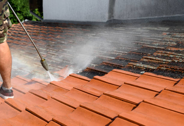 Best Local Pressure Washing Services  in New Prague, MN