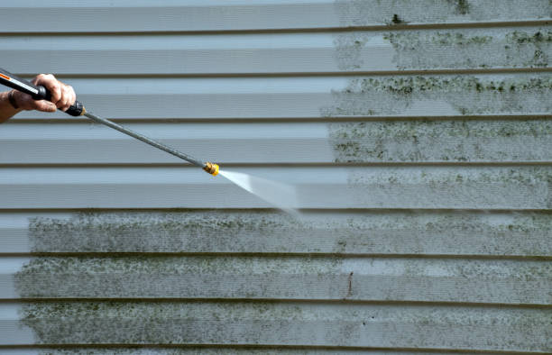  New Prague, MN Pressure Washing Pros