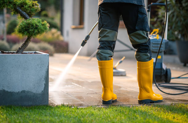 Best Local Pressure Washing Services  in New Prague, MN